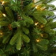 thumbnail image 4 of Nearly Natural 3.5' Fir Artificial Christmas Tree with 50 Clear Lights, 4 of 6