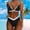 Black, variant on Baqcunre High-Cut & High-Waisted Bikini Sets for Women: Seductive Two-Piece Swimwear, 1 Pc Swimsuit Blue S