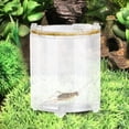 thumbnail image 3 of Tanque Circular acrílico portátil para cuidado de animales pequeños, alimentación para saltamontes CricketB, 3 of 5