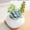 Succulent - Light Blue, variant on 1PCS Mini Artificial Succulent Plants, Fake Succulent Arrangements in White Ceramic Pots, Faux Potted Greenery for Home, Office & Desk Decor