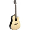 James Neligan LYN-DCFI Lyne Series Dreadnought Acoustic-Electric Guitar