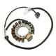 thumbnail image 2 of Bobina De Estator ATV, 3HN 85510 10 00 Estator Magnético Estándar OE Resistente Al Calor Alta Resistencia Baja Pérdida Magnética Para Warrior 350 YFM350, 2 of 7