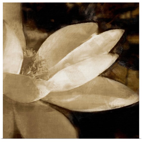 Great BIG Canvas | Rolled Noah Bay Poster Print entitled Bronze Lily IV