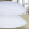 Sertapedic No Go Flat Bed Pillow, Set of 2, Standard/Queen