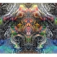 thumbnail image 2 of Gavidia, Pedro 22x20 Gold Ornate Wood Framed with Double Matting Museum Art Print Titled - Bioassembly, 2 of 4