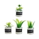 thumbnail image 5 of Plantas en miniatura para casa de muñecas, modelo de adorno, juguete de simulación, plantas diminutas, escala 1/12 Estilo A, 5 of 9