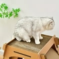 thumbnail image 3 of Cat Wheel Cat Exercise Wheel for Indoor Cat, Cat Running Wheel with Carpeted, 3 of 4