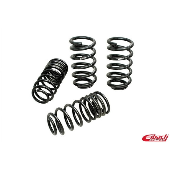 Eibach Springs
