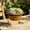 A, variant on Rustic Metal Animal Foot Planter Pot, Unique Bird Feet Shaped Succulent Flower Pot Indoor Desktop Patio Garden Decor Container