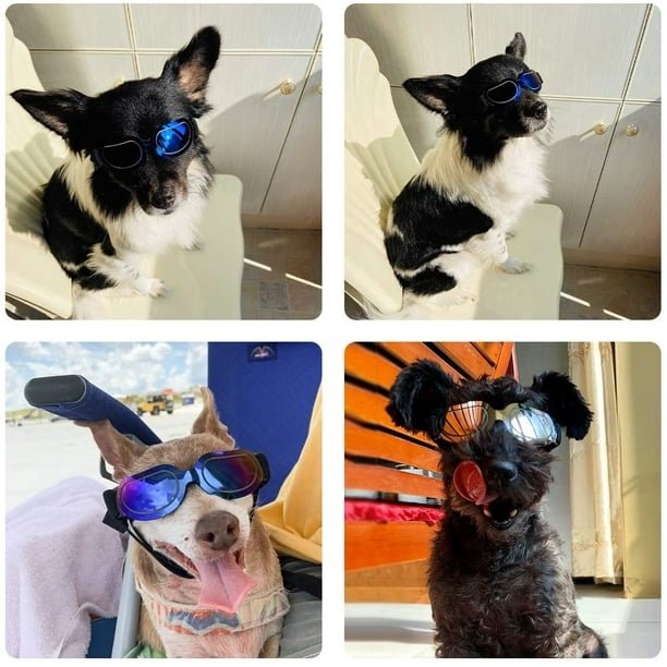 Doggles for small dogs sales
