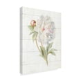 thumbnail image 2 of Trademark Fine Art 'June Blooms II' Canvas Art by Danhui Nai, 2 of 3