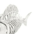 thumbnail image 6 of Skeleton Fish Halloween Decor Model, Animal Carp Skull Fishes Bone Art Ornaments, for Home Room B, 6 of 6