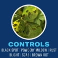 thumbnail image 4 of BioAdvanced Fruit & Vegetable 3n1 Solution 32oz Concentrate, Kills Listed Insects: Aphids, Caterpillars, Mites, Beet Armyworms, Beetles and More! Controls; Black Spot, Powdery Mildew, Rust and More!, 4 of 7