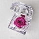 thumbnail image 1 of Mini rosa preservada Mina’an-flor eterna color Hot Pink en cajita de regalo, 1 of 4