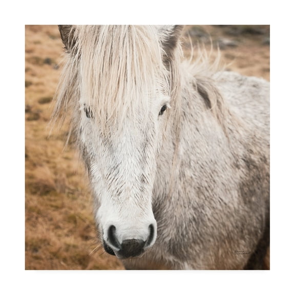 Trademark Fine Art 'Heida IV' Canvas Art by Laura Marshall