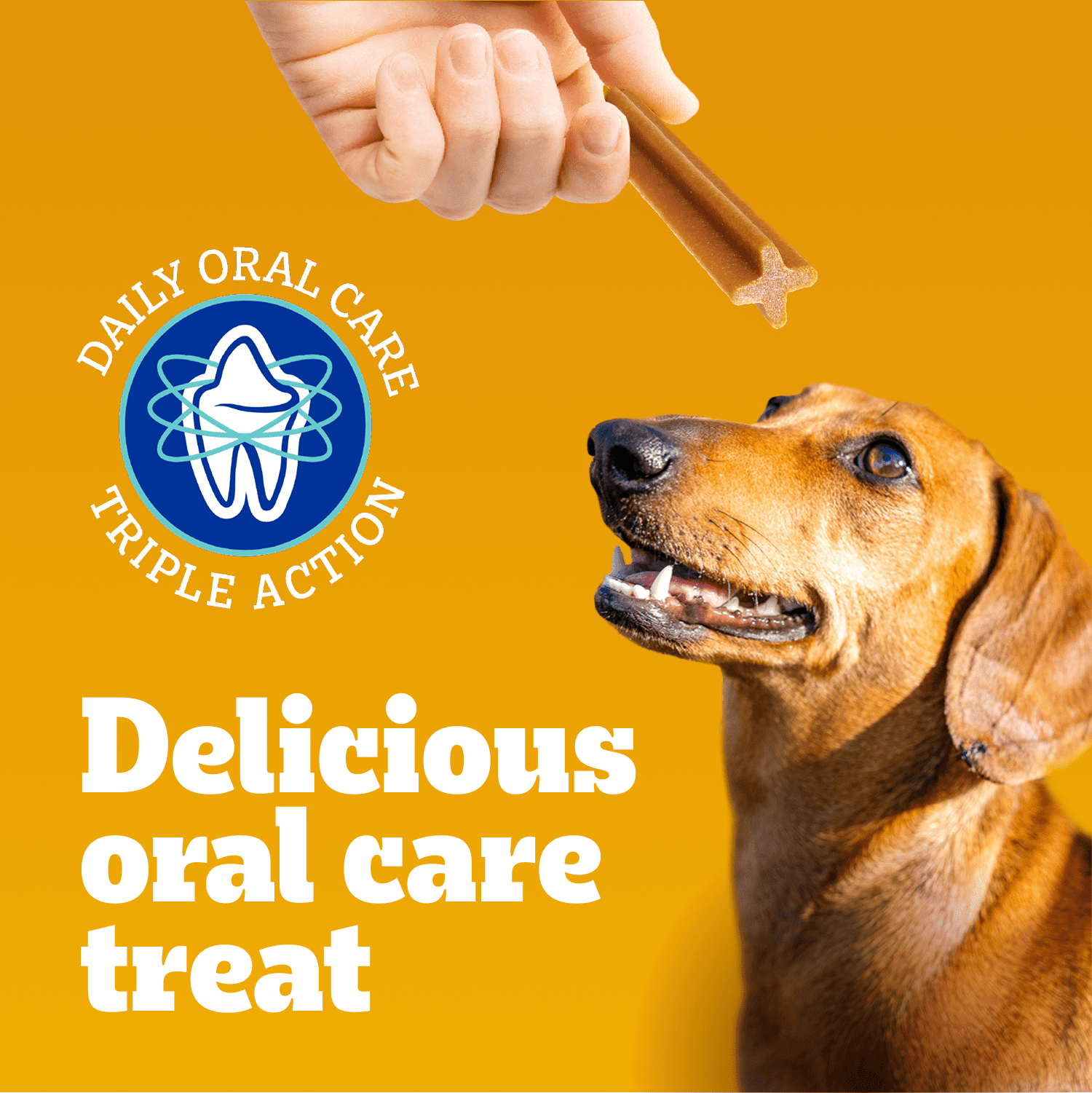 Gâteries de soins buccodentaires PEDIGREE DENTASTIX Mini saveur originale, format méga, 108 bâtonnets, sachet de 760 g