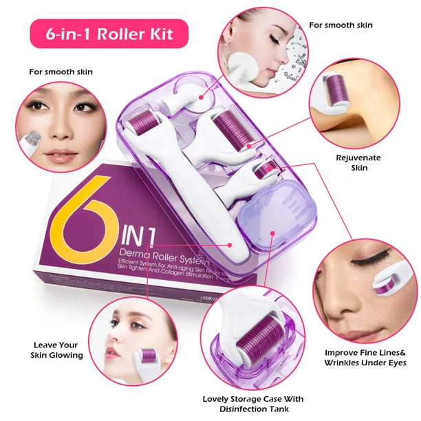 Derma Roller 6 en 1 Micro Needles Derma Roller para el cuidado facial con microagujas y bandeja desinfectante