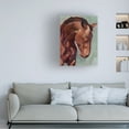 thumbnail image 3 of Jennifer Paxton Parker 'Paint by Number Horse II' Canvas Art, 3 of 4
