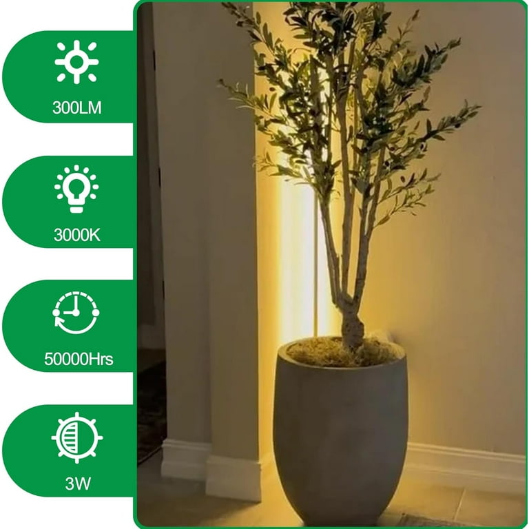 LED Indoor Plant Spotlight, 3W Floor Lamp Plant Up Lighting, 3000k Warm  White Spotlight Indoor Graphic Light Accent Lighting, 110V US 2-Plug, 5.9ft  Cord with Floor Foot Switch, Black - Walmart.com
