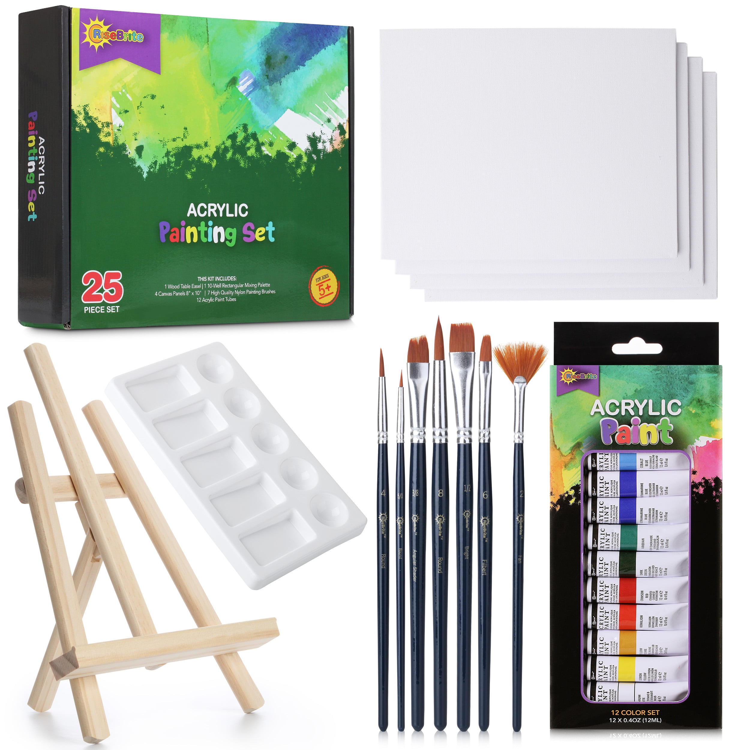 RISEBRITE acrylic paint set with canvas painting kit for adults painting  set with easel, premium painting supplies, painting canvas