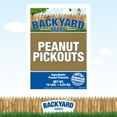 Backyard Seeds Shelled Whole Peanut Pickouts for Woodpeckers, Birds