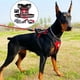 thumbnail image 2 of Doberman Dog Harness Collar Leash Set Walking Pet Vest Harnesses for Medium Large Dogs German Shepherd mascotas Chain Supplies ShopWise Round, 2 of 12