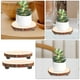 thumbnail image 2 of 2 soportes de madera para plantas, plato redondo para decoración del hogar, pedestal rústico multifuncional para centros de mesa de bodas y fiestas (8 cm, 11 cm), 2 of 8