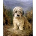 thumbnail image 2 of Cheviot, Lilian 15x17 Gold Ornate Wood Framed with Double Matting Museum Art Print Titled - A Dandie Dinmont, 2 of 4