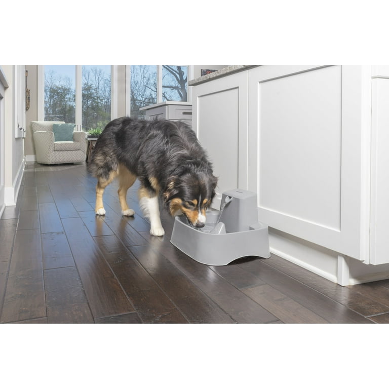  Dog Water Fountain,Dog Water Bowl Dispenser 2 Gallon