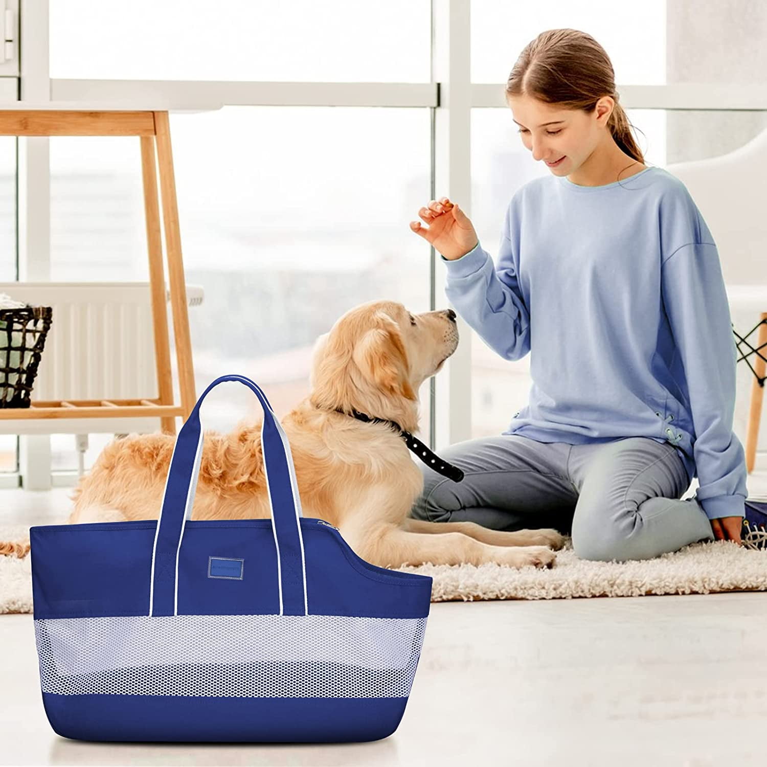 Lands end dog clearance bag