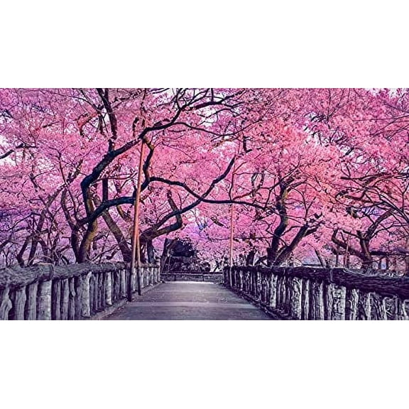 10 Sakura Tree Seeds - Grow Outdoors or Bonsai