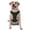 With Accessories, variant on Vsdgher Emerald Green Sparkling Dog Harness, No-Pull Pet Harness, Dog Vest, Pet Vest for Small to Large Dogs-Medium