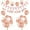 Rosegold, variant on YANSION We Will Miss You Banner Rainbow Party Decorations with Good Luck Balloons Colorful Triangle Flag Banner for Retirement Graduation Leaving Party Going Away Farewell Party