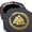 Gold, variant on Soar Forge Dice Tray for DND and RPG - Beautiful Green Valknut and Dragon 9 Inch Rolling Tray Compatible with Dungeons and Dragons and Tabletop RPGs - Box Storage to Protect Dice