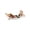 Beige574, variant on Zynviq Dog Bathroom Rugs 15.1" X 25.6" Bath Rugs Animals Diatom Ooze Washable Beige U-Shaped Absorbent Small Rug for Toilet