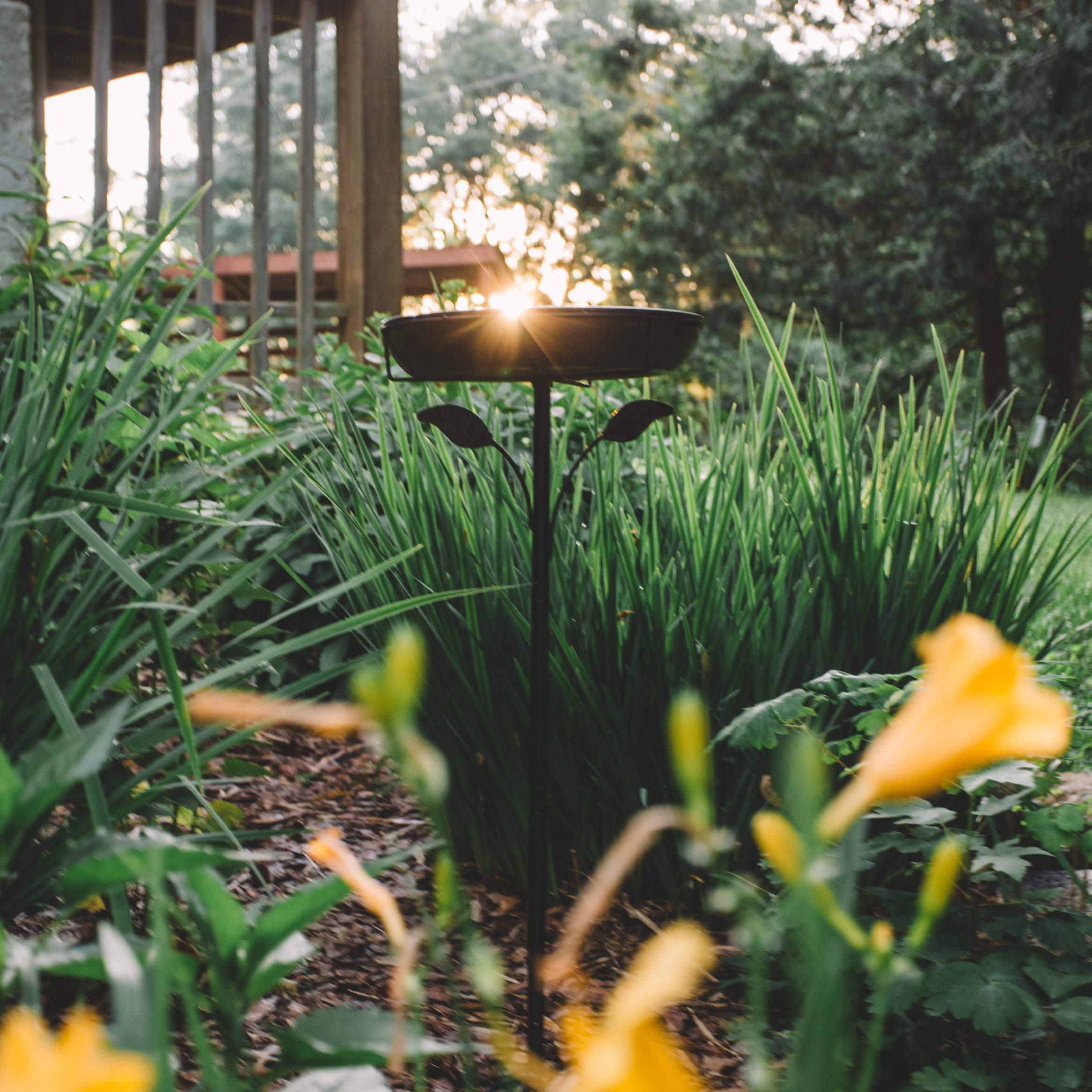 Backyard Expressions Decorative Metal Garden Bird Bath with Leaf Accent Pedestal - Antique Bronze Finish