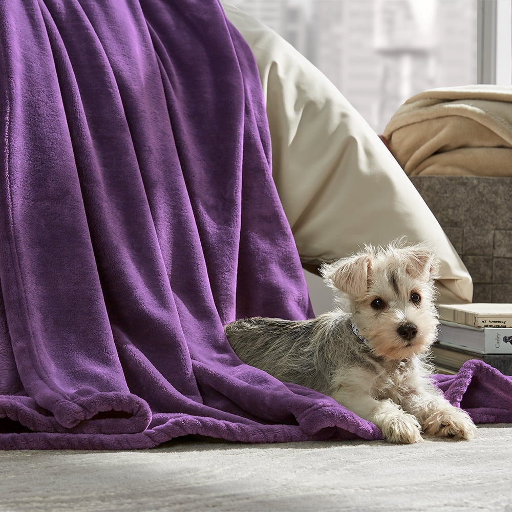 Bare Home Ultra Soft Microplush Velvet Blanket Luxurious Fuzzy Fleece