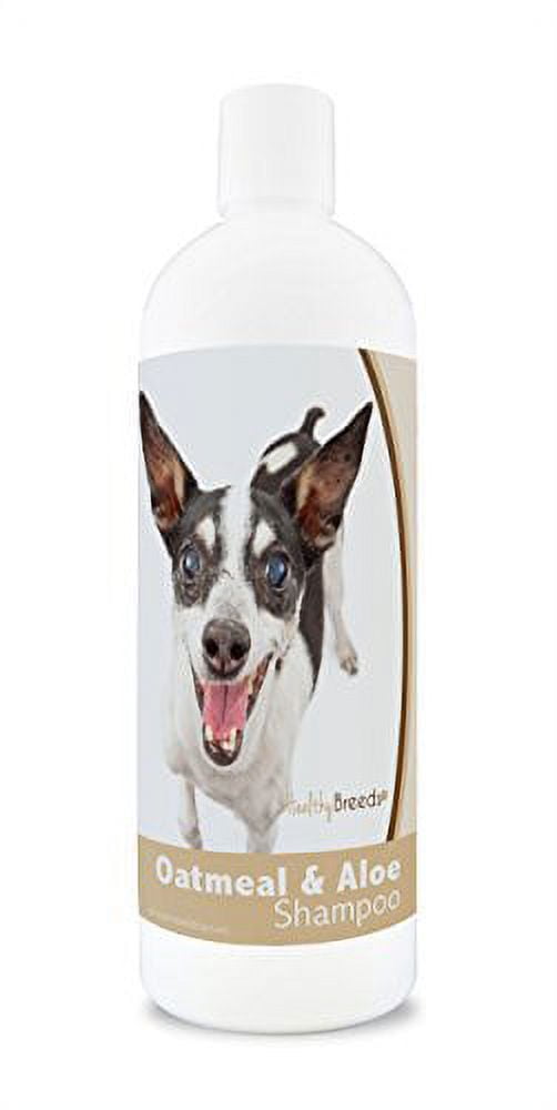 Healthy Breeds Aloe & Oatmeal Dog Shampoo for Rat Terrier Over 200 Breeds 16 oz Mild