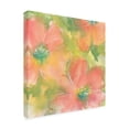 thumbnail image 2 of Chris Paschke 'Summer Cosmos I' Canvas Art, 2 of 3