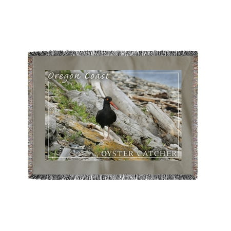 Yarn Oyster - Oregon Coast - Oyster Catcher - Lantern Press Photography (60x80 Woven Chenille Yarn Blanket)