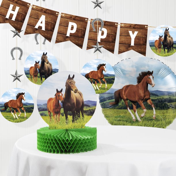 Wild Horse Birthday Decorations Kit