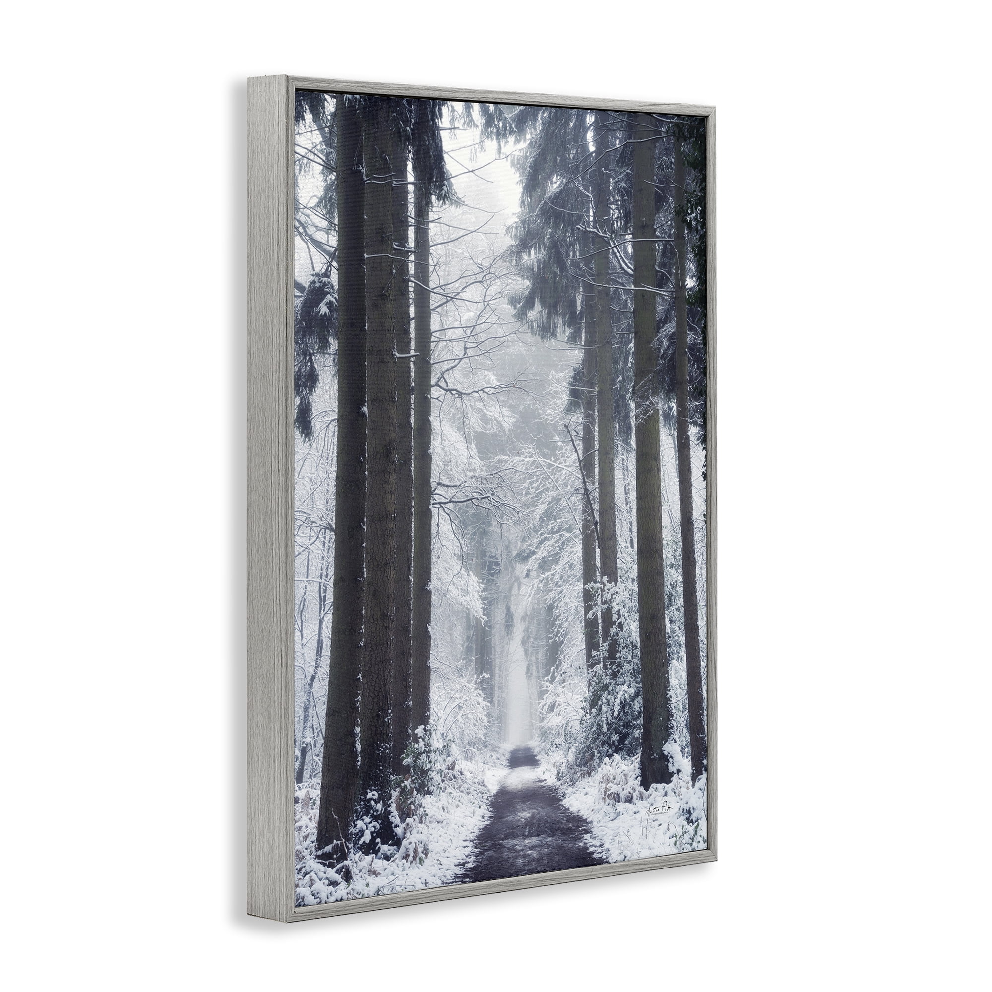 Stupell Industries Winter Fir Path Landscape Photography Gray Framed Art Print Wall Art, 12 x 18