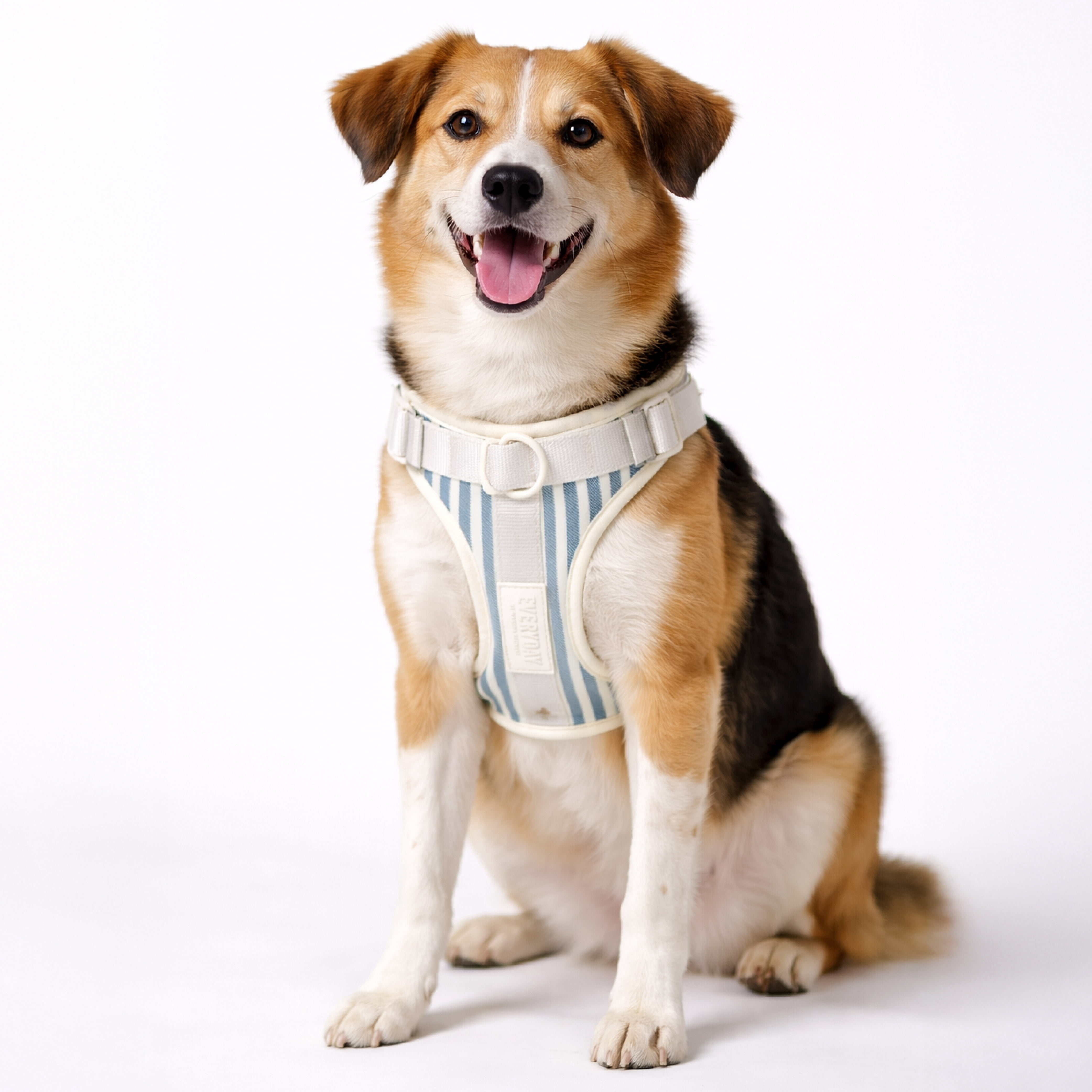 Martha Stewart Neoprene Padded Stripe Harness for Dogs - Medium