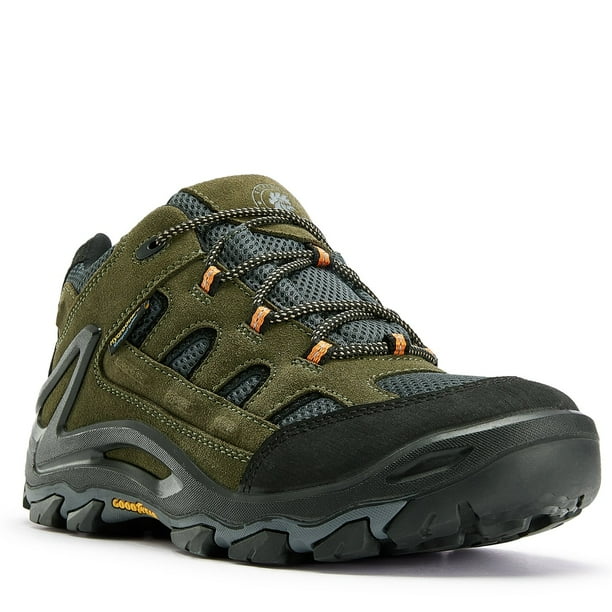 golden retriever sneakers