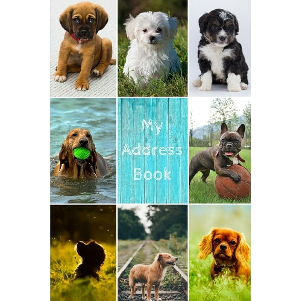 My Address Book Dog Cover Address Book for Names, Addresses, Phone