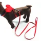 thumbnail image 4 of Arnés de nailon para perros pequeños, 10 colores, con hermosas alas de ángel, a prueba de fugas, para gatos, conejos, chihuahuas y carlinos, 4 of 5