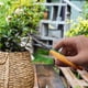 thumbnail image 4 of Tijeras de podar domésticas con mango bicolor para jardinería y recolección de uvas, 4 of 6