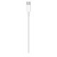 thumbnail image 2 of USB-C to USB-C Fast Charging Cable (3m) White, 2 of 3