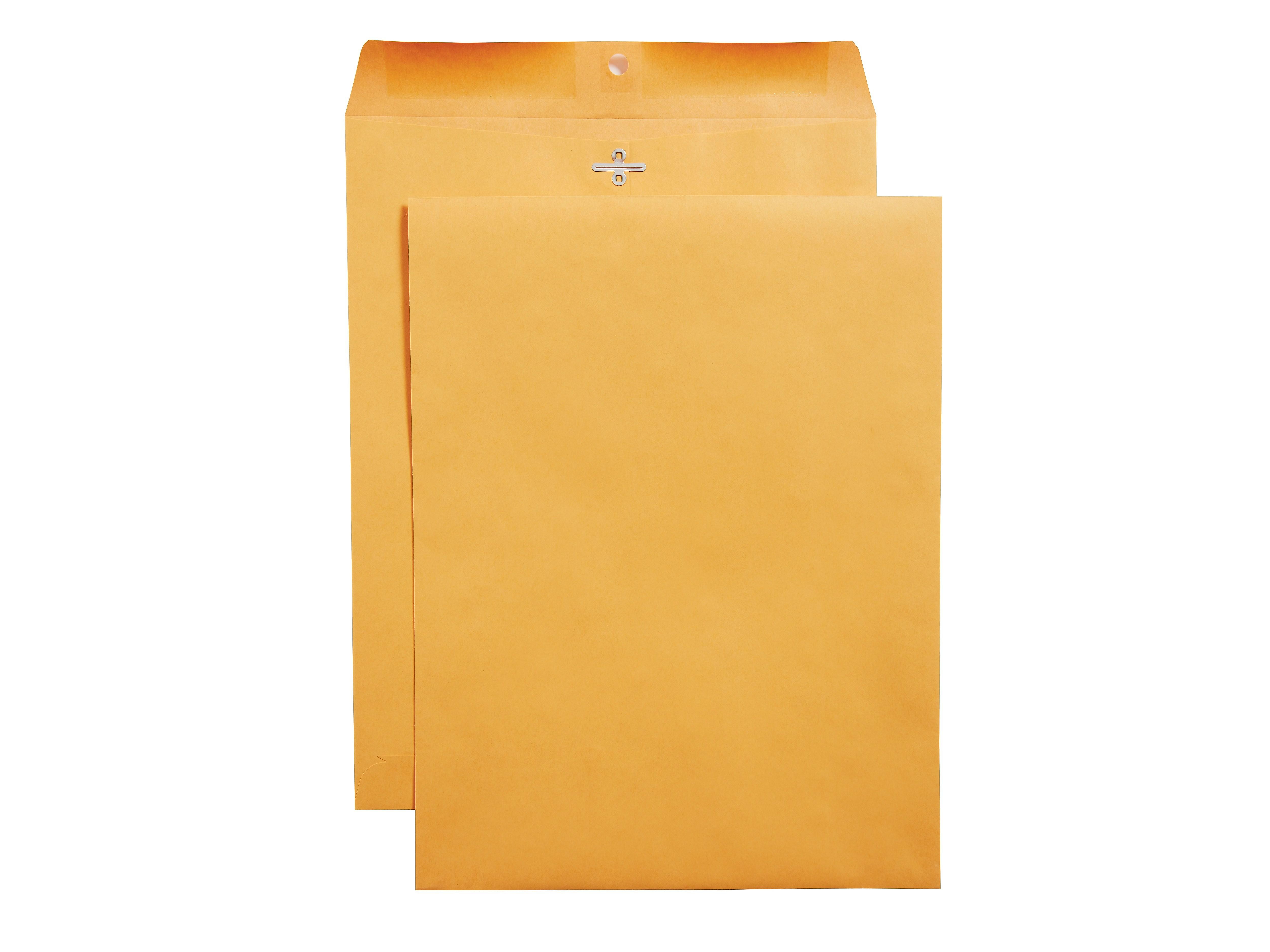 MyOfficeInnovations Clasp & Moistenable Glue Catalog Envelopes 10