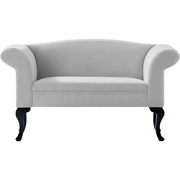 MidCentury Modern Loveseats Sofa Small Loveseat for Small Spaces